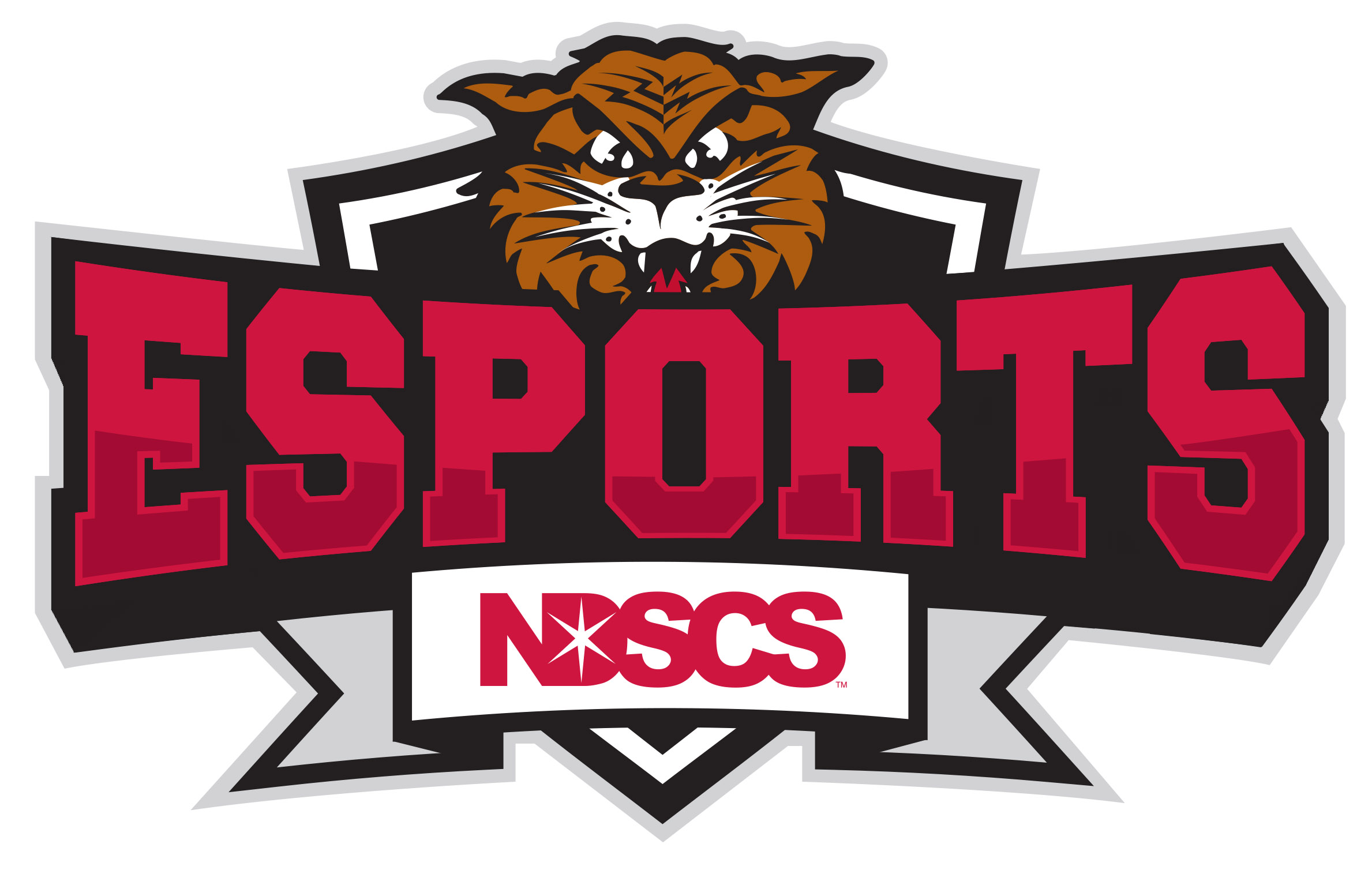 eSports North Dakota State College of Science (NDSCS) Wahpeton/Fargo